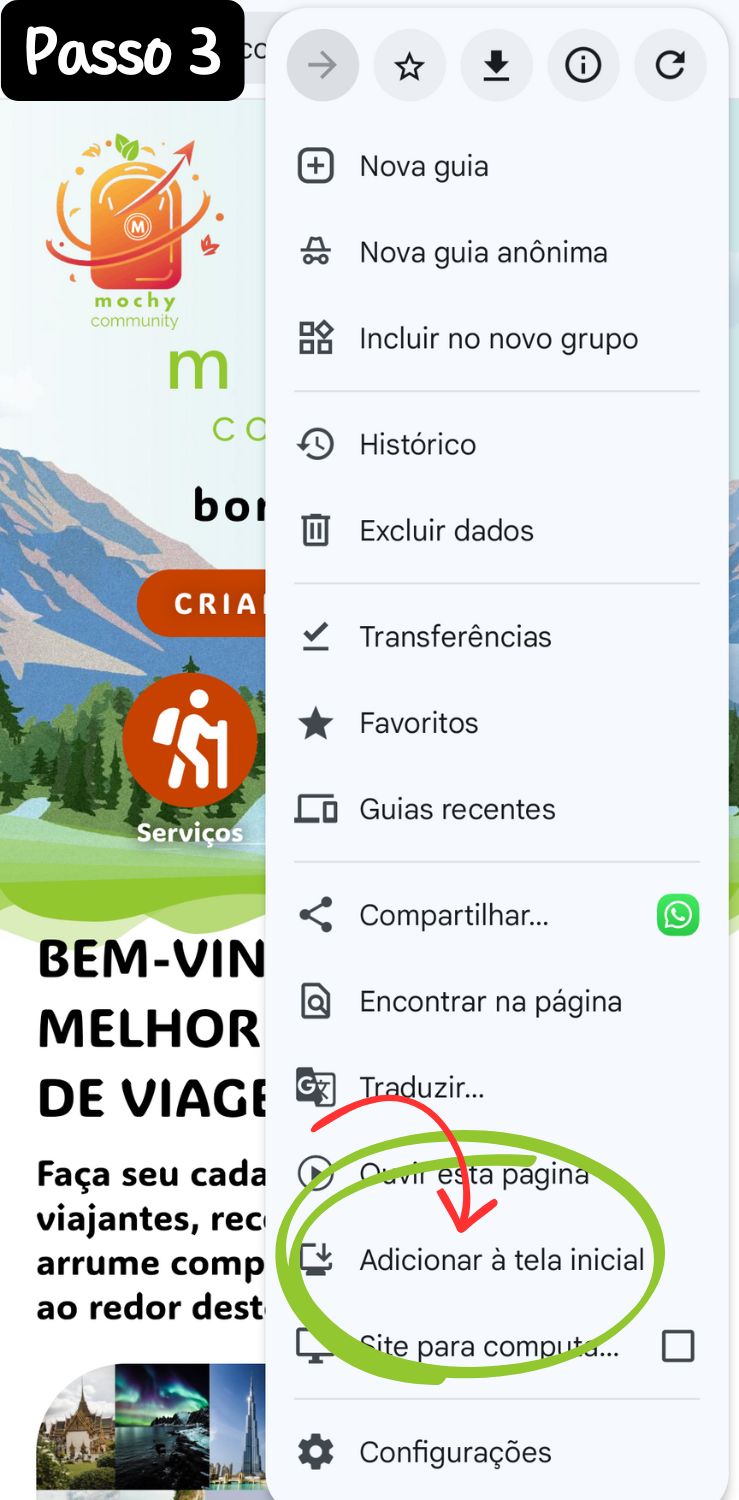 Clique em "Adicionar à tela inicial"